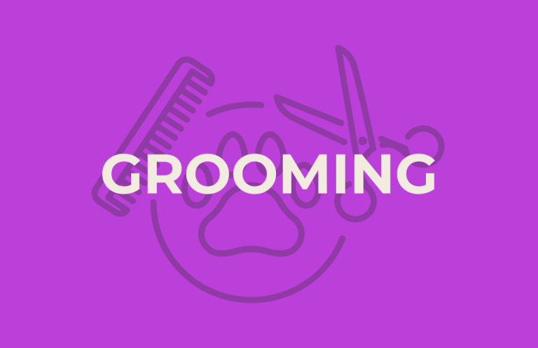 Hochwertiges Hundezubehör Braunschweig Hundezubehör im Canium Hundezentrum