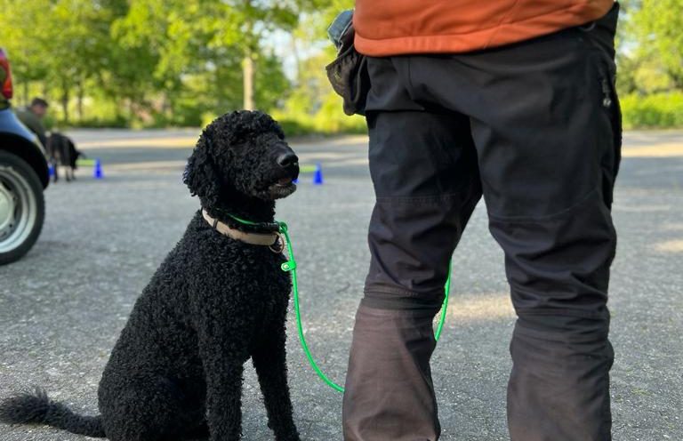 Einzeltraining buchen Einzeltraining buchen