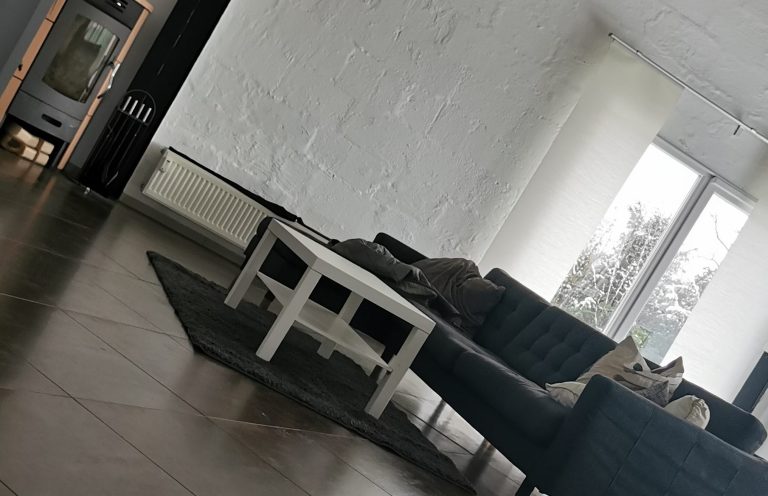 Unser Konzept in der Hundetagesbetreuung Helles Wohnzimmer mit grauem Sofa, niedrigem Tisch und großen Fenstern.