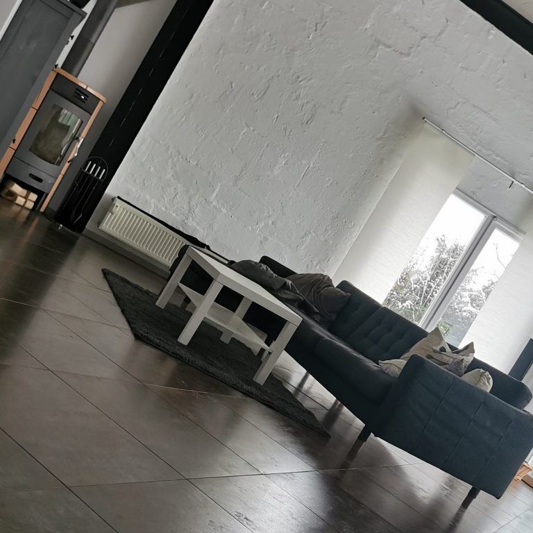 Hundetagesbetreuung in Braunschweig Hundetagesstätte für kleine und große Hunde