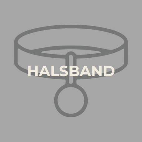 Halsband für Hunde