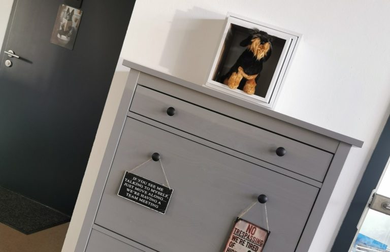 Hundebetreuung in Braunschweig Tagesbetreuung in Braunschweig